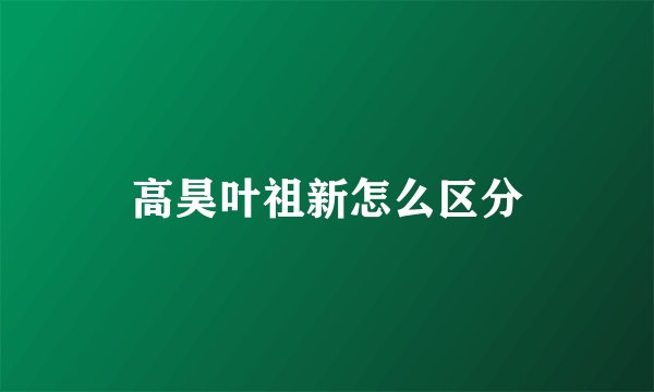 高昊叶祖新怎么区分
