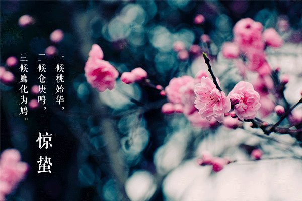 惊蛰的含义是什么意思