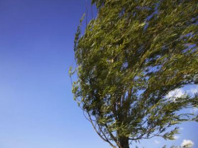 新疆托克逊部分乡镇阵风9-10级,给当地造成了怎样的影响?