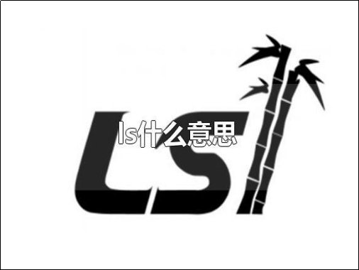 ls是什么意思