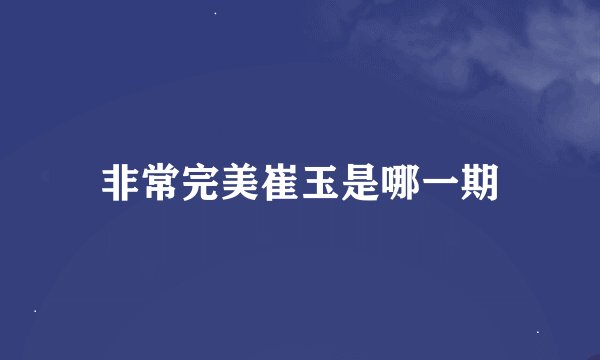 非常完美崔玉是哪一期