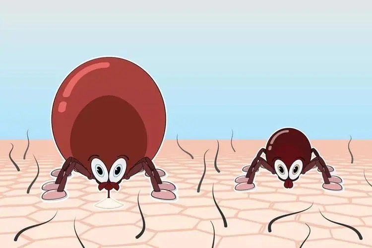 杭州阿姨臀部冒出一颗“黑痣”，仔细一看还在慢慢变大，这到底是什么？