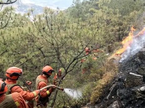 涪陵山火仍在扑救中，山火是如何引发的？为何扑救这么难呢？