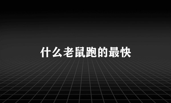 什么老鼠跑的最快