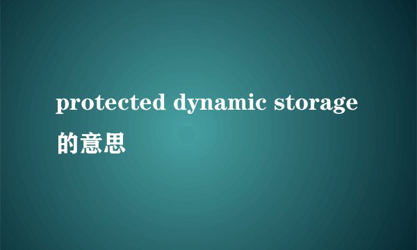 protected dynamic storage的意思