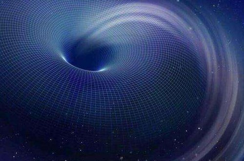 四维空间的生物真的存在？乌贼是四维生物吗？