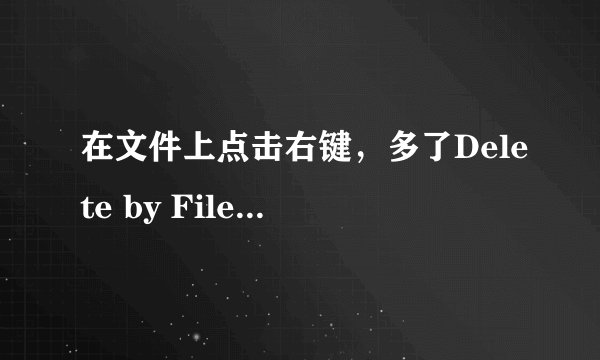在文件上点击右键，多了Delete by File pulverizer