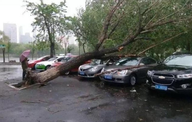 辽宁大连出现11级瞬时大风，给当地带来了哪些损失和影响？