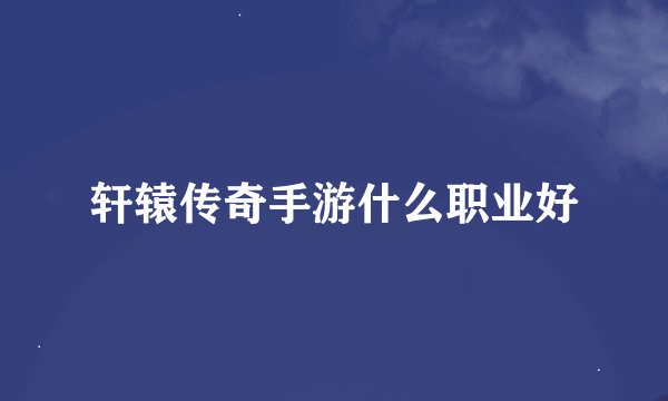 轩辕传奇手游什么职业好