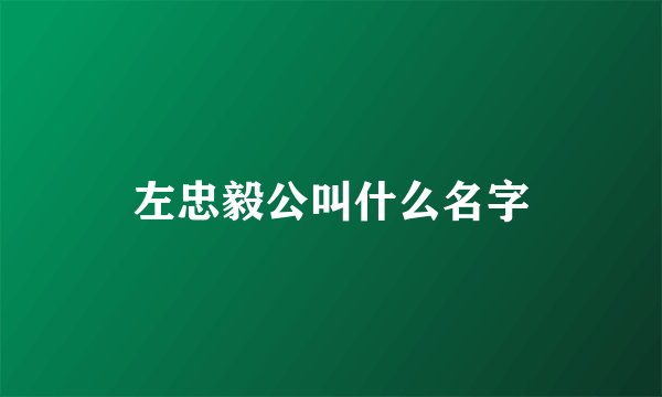 左忠毅公叫什么名字