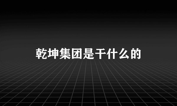 乾坤集团是干什么的