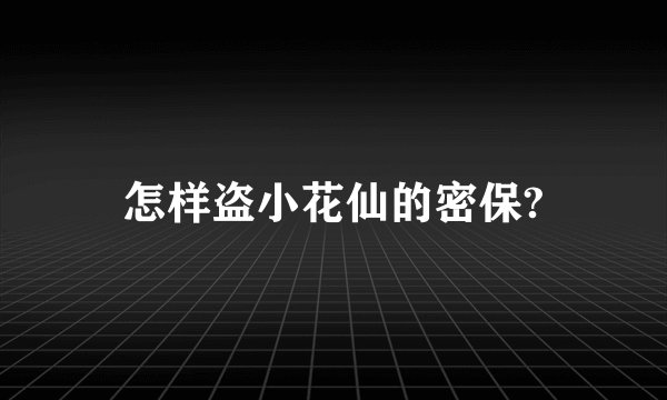 怎样盗小花仙的密保?
