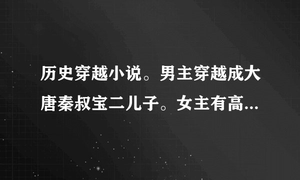 历史穿越小说。男主穿越成大唐秦叔宝二儿子。女主有高阳。武媚娘。。。