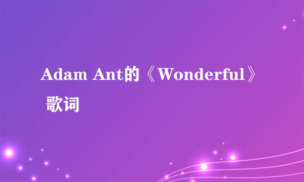 Adam Ant的《Wonderful》 歌词