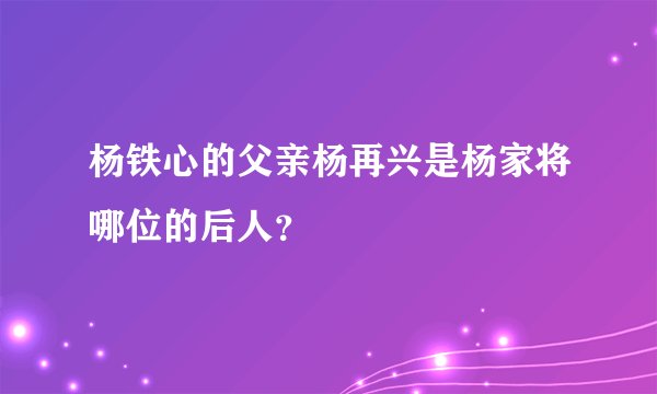 杨铁心的父亲杨再兴是杨家将哪位的后人？