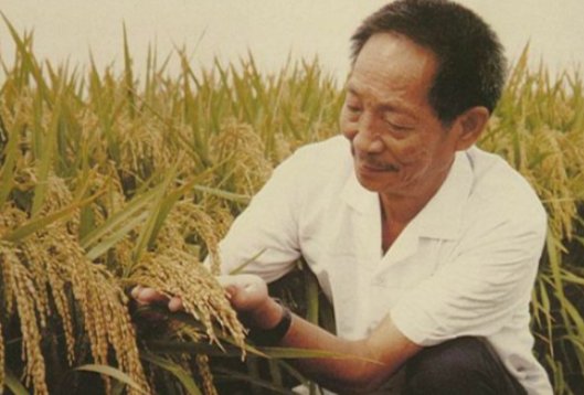袁隆平是哪一年出生的呢？