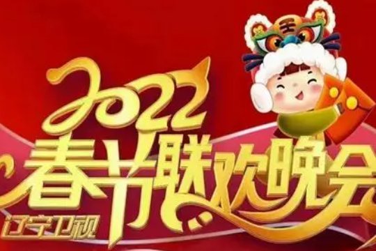 各卫视春晚时间