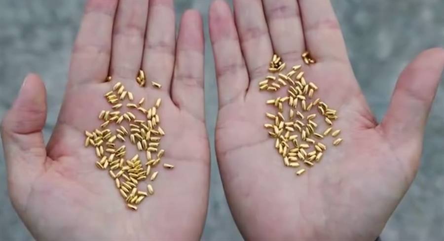 艺术家回应千粒金米扔黄浦江争议，用浪费的行为讽刺浪费合适吗？