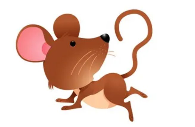 入土为安的动物是什么生肖？