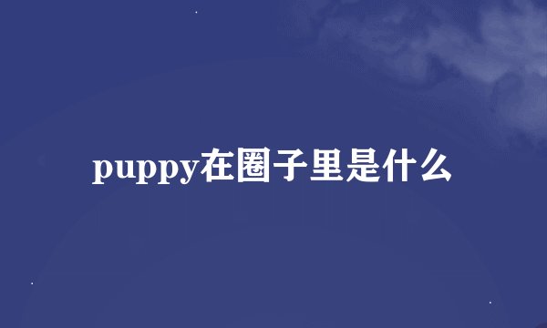 puppy在圈子里是什么