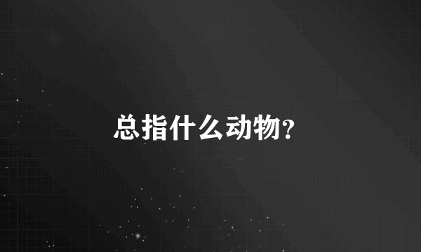 总指什么动物？