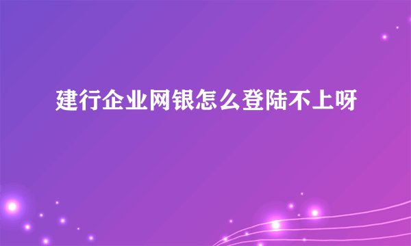 建行企业网银怎么登陆不上呀