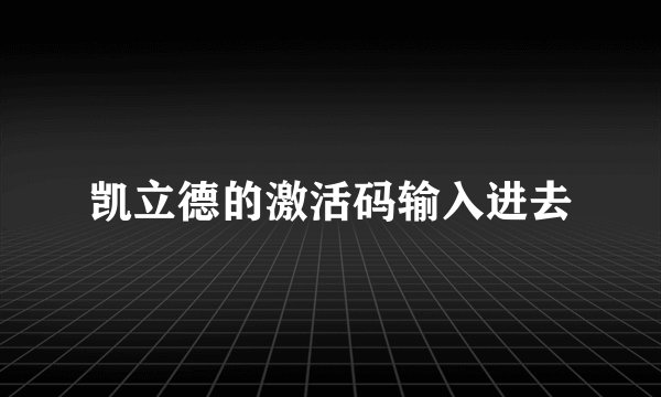凯立德的激活码输入进去