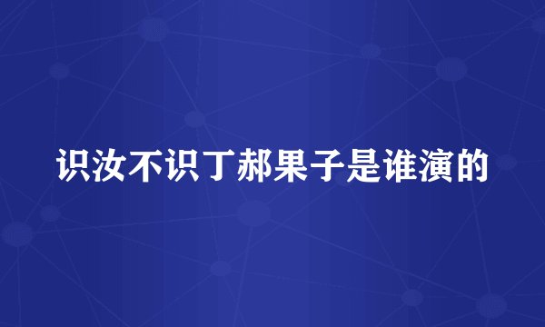 识汝不识丁郝果子是谁演的