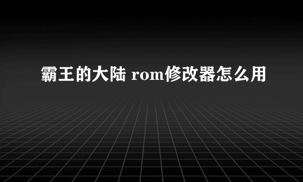 霸王的大陆 rom修改器怎么用
