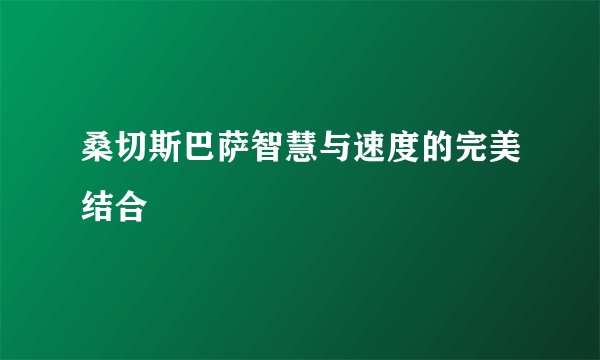 桑切斯巴萨智慧与速度的完美结合