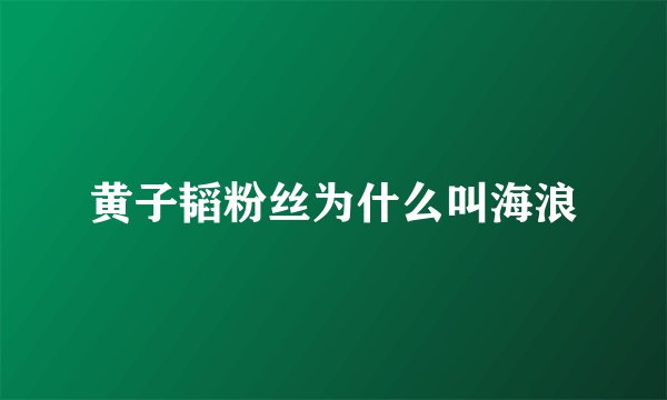 黄子韬粉丝为什么叫海浪