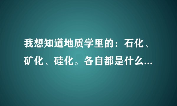 我想知道地质学里的：石化、矿化、硅化。各自都是什么意思？要专业点哦
