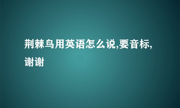 荆棘鸟用英语怎么说,要音标,谢谢