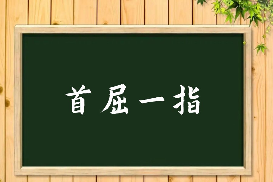 首屈一指什么意思