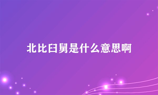 北比臼舅是什么意思啊