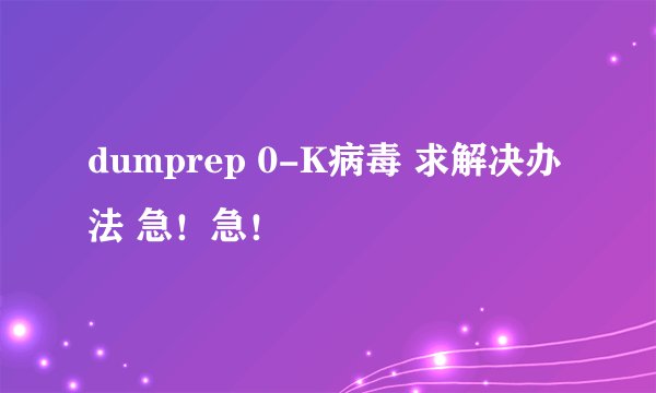 dumprep 0-K病毒 求解决办法 急！急！