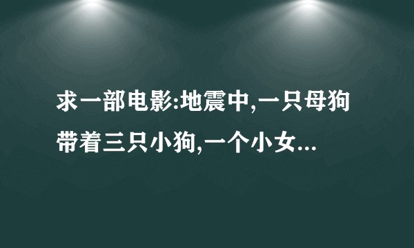 求一部电影:地震中,一只母狗带着三只小狗,一个小女孩和他的爷爷救出来