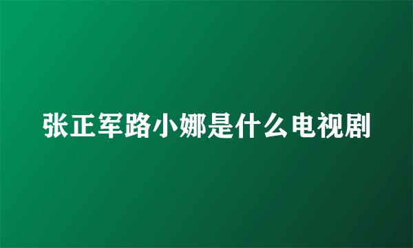 张正军路小娜是什么电视剧