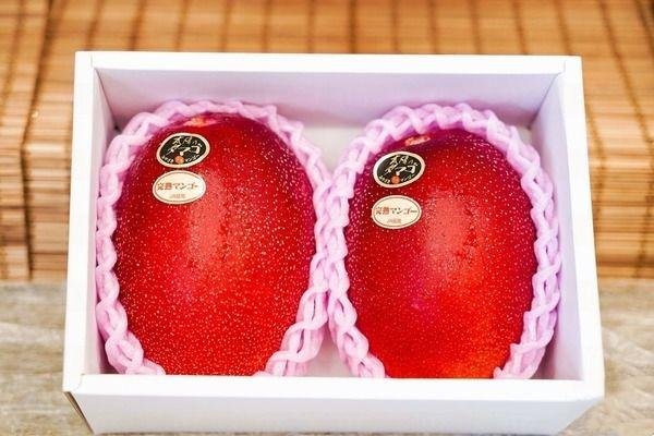 两颗芒果卖出1.2万元，这两颗芒果为何这么值钱？