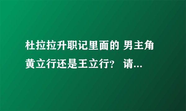 杜拉拉升职记里面的 男主角 黄立行还是王立行？ 请附上详细档案跟经历