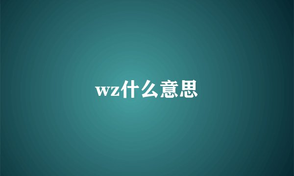 wz什么意思