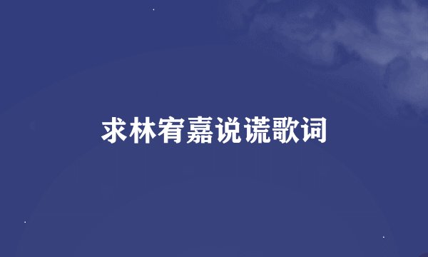 求林宥嘉说谎歌词