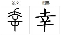 xing是什么意思？