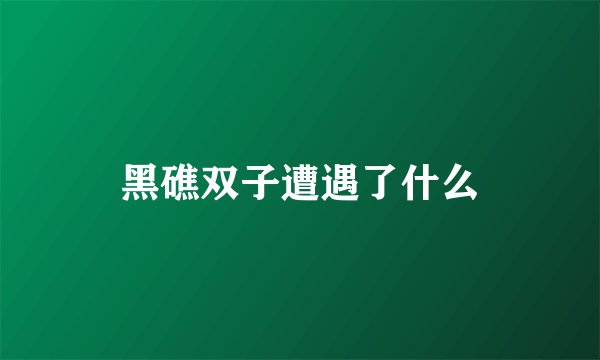 黑礁双子遭遇了什么