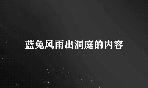 蓝兔风雨出洞庭的内容