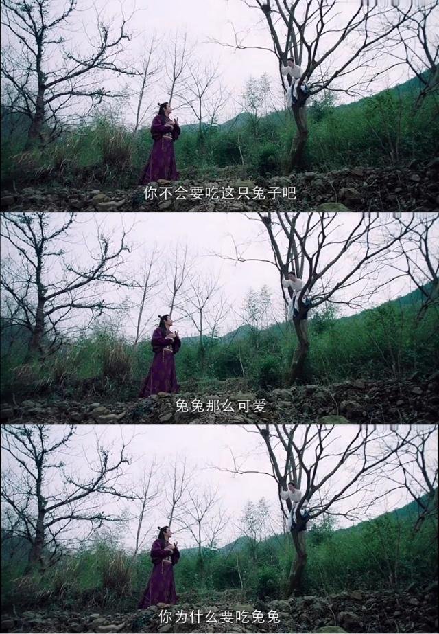 怎么可以吃兔兔？最早是不是出现在电影《撒娇女人最好命》