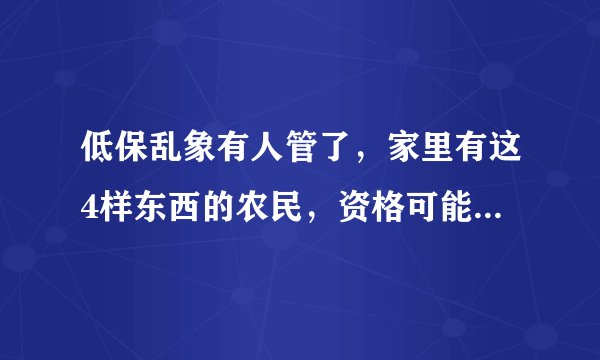 低保乱象有人管了，家里有这4样东西的农民，资格可能要被取消了