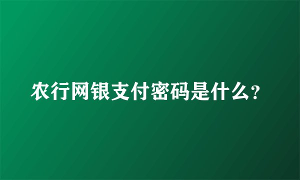农行网银支付密码是什么？
