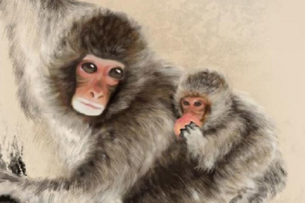 不露声色解释什么动物