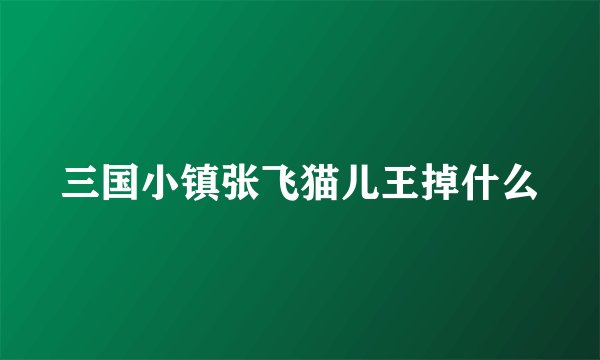 三国小镇张飞猫儿王掉什么